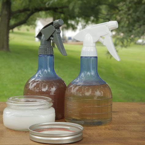 DIY Mosquito Repellents You Can Make at Home Deer Repellent, Diy Bug Repellent, Diy Mosquito Repellent, Deer Repellant, Backyard Birthday Parties, Weeds In Lawn, Stink Bugs, Backyard Birthday, Garden Weeds