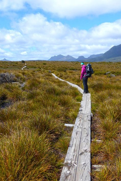 Looking for an awesome adventure? Then hike the Overland Track in Tasmania! Best Hiking Gear, Scotland Hiking, Vietnam Backpacking, Backpacking India, Backpacking South America, Thailand Backpacking, Backpacking Asia, Oceania Travel, Hiking Destinations