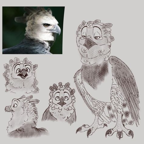 A Mess on Instagram: “Harpy Eagle practice  #expression #eagles #harpyeagle #drawing #sketch #practice #art #artistsoninstagram #birds” Harpy Eagle Character Design, Harpy Eagle Art, Harpy Eagle Wings, Harpy Eagle Drawing, Bird Head Drawing, Eagle Character Design, Bird Expressions, Harpy Bird, Eagle Sketch