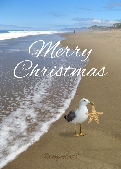 Merry Christmas Beach, Christmas Beach, Florida Christmas, Merry Christmas Gif, Beachy Christmas, Merry Christmas Pictures, Tropical Christmas, Merry Christmas Images, Beach Images