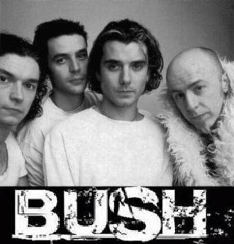 Bush. Sixteen Stone is one of my all-time favorite albums! Bush Band, Gavin Rossdale, 90s Music, I'm With The Band, New Rock, I Love Music, Types Of Music, Alternative Rock, All Music