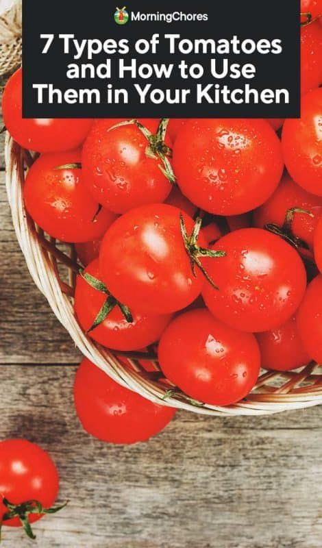 7 Types of Tomatoes and How to Use Each of Them Types Of Tomatoes And Uses, Tomato Types, Backyard Transformation, Determinate Tomatoes, Bruschetta Toppings, Types Of Tomatoes, Vegetable Benefits, Growing Tomatoes In Containers, Beefsteak Tomato