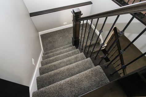 Grey Plush Staircase Carpet Dark Carpet Staircase, Staircase Grey Carpet, Carpet Runner On Dark Wood Stairs, Dark Gray Carpet Stairs, Light Grey Carpet Stairs, Stair Runner Carpet Dark Wood, Grey Stair Carpet, Stairway Carpet, Dark Grey Carpet