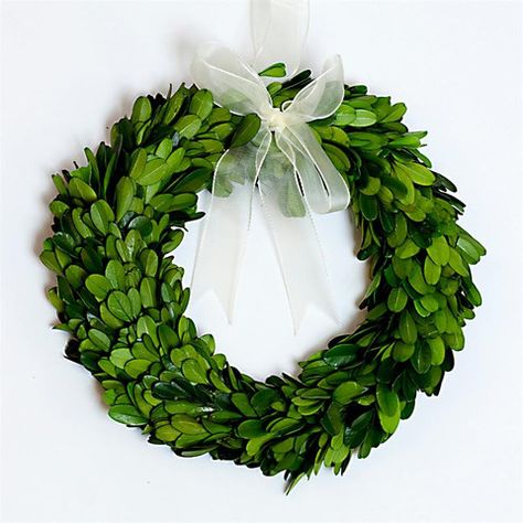 Preserved Boxwood Round Wreath - 8 Inch Small Boxwood Wreath, Boxwood Wreath Decor, Boxwood Wreaths, Preserved Boxwood Wreath, Cheese Store, Preserved Boxwood, Bella Marie, Holiday Greenery, Boxwood Wreath