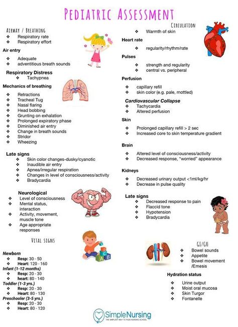 Pediatric Assessment #medicalschool #resources #medicalstudent - Image Credits: StuDocu Pediatrician Aesthetic Notes, Pediatric Home Health Nurse, Pediatric Nurse Practitioner Study, Pediatrician Notes, Pediatric Echocardiography, Pediatric Medical Assistant, Pediatric Cardiologist, Pediatric Assessment, Pediatric Nursing Study