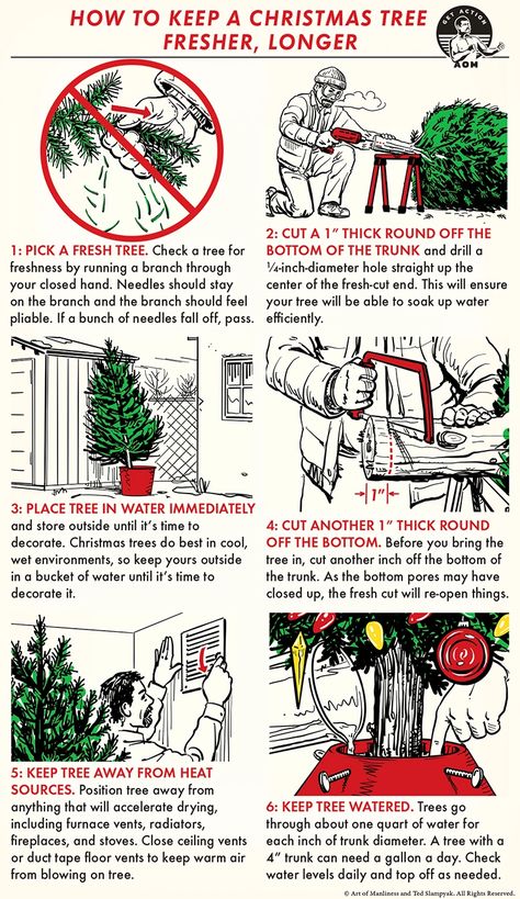 How to Keep Your Christmas Tree Fresher, Longer | The Art of Manliness Christmas Tree Care, Minimalist Tips, Christmas Clipart Free, Christmas Tree Decorating Ideas, Tree Decorating Ideas, Christmas Tree Lots, Manly Stuff, Christmas Tree Decorating, Plastic Christmas Tree