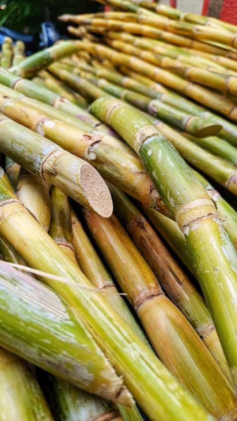 Sugarcane Rush. Sugarcane Farm, Small Balcony Garden, Lord Photo, Fruit Dishes, Summer Love, Sugar Cane, Eating Raw, Small Balcony, Balcony Garden