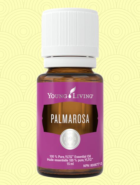 Pink Mimosa, Palmarosa Essential Oil, Doterra Diffuser, Doterra Diffuser Blends, Yl Essential Oils, Living Essentials Oils, Essential Oil Diffuser Blends, Oil Diffuser Blends, Oil Blends