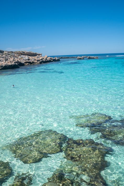 Rottnest Island Australia, Perth Aesthetic, Best Places To Snorkel, Australia Lifestyle, Beaches Australia, Things To Do In Perth, Australia Aesthetic, Byron Bay Beach, Cottesloe Beach