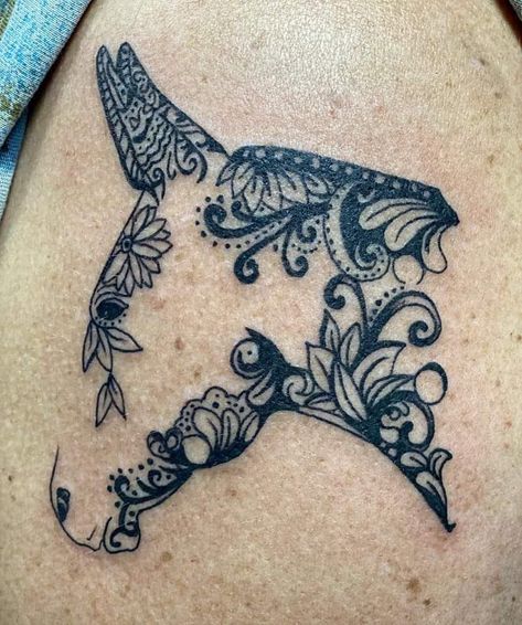 Mule Deer Tattoo, Mule Tattoo, Zebra Tattoo Ideas, Double Tattoo, Zebra Tattoo, Zebra Tattoos, Deer Tattoo Designs, Cowgirl Tattoos, Deer Tattoo