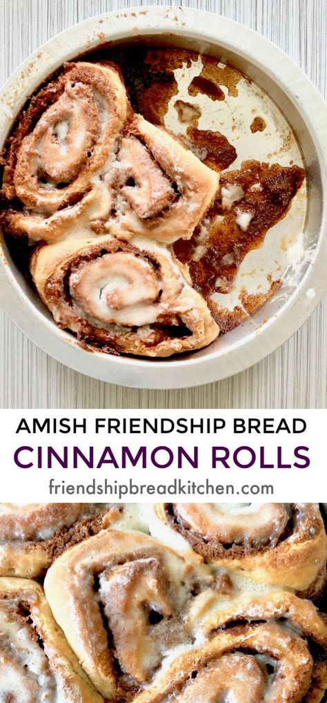 Amish Bread Starter Recipes, Amish Bread Starter, Best Amish Recipes, Amish Cinnamon Bread, Amish Bread Recipes, Bread Cinnamon Rolls, Amish Friendship Bread Starter Recipes, Friendship Cake, Friendship Recipe