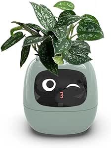 Itigoitie Smart Flowerpots,Smart Pet Planter,Ai Planter,Intelligent Flowerpots,Multiple Expressions,7 Smart Sensors, and Ai Chips Make Raising Plants Easy and Fun for Living Room,Plant-Free(Green) Garden Must Haves, Amazon Garden, Small Flower Pots, Living Room Plants, Plastic Flower Pots, Unique Gadgets, Indoor Gardens, Plastic Flowers, Plant Collection