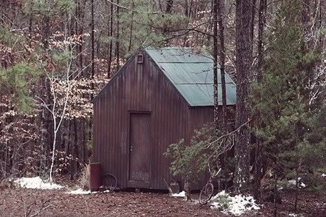 Ted Kaczynski, In The Woods, Cottage Core, Bulgaria, Lincoln, Cabin, Trees, Cottage