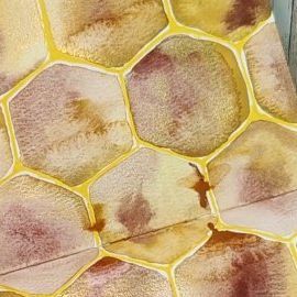 Watercolour Honeycomb, Watercolor Honeycomb, Watercolour Lessons, Yellow Curry, Covered Strawberry, Chocolate Covered Strawberry, Watercolor Tutorials, Watercolor Lessons, Golden Honey