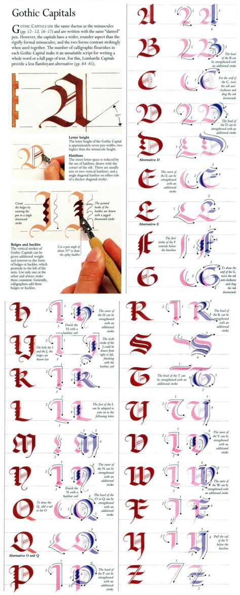 Calligraphy Letters Alphabet, Gothic Lettering, Calligraphy Lessons, Calligraphy Tutorial, Graffiti Lettering Fonts, Calligraphy For Beginners, Gothic Fonts, Tattoo Lettering Fonts, Typography Alphabet