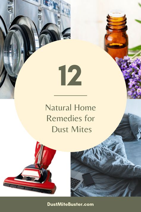 Natural Home Remedies For Dust Mites Dust Allergy Remedies, Dust Mite Allergy, Speck Of Dust, Urban Myth, Dust Allergy, Natural Disinfectant, Allergy Remedies, Dust Mites, Natural Home Remedies