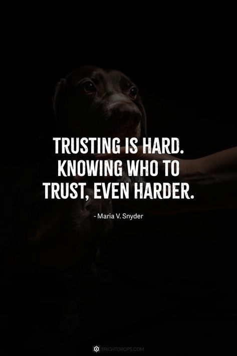 Trusting is hard. Knowing who to trust, even harder. Trusting Others Quotes, Can’t Trust Quotes, Trust Quotes In Hindi, Trustworthy Quotes, Quotes About Trust, Trusting Yourself, Communication Quotes, Jealousy Quotes, Sorry Quotes