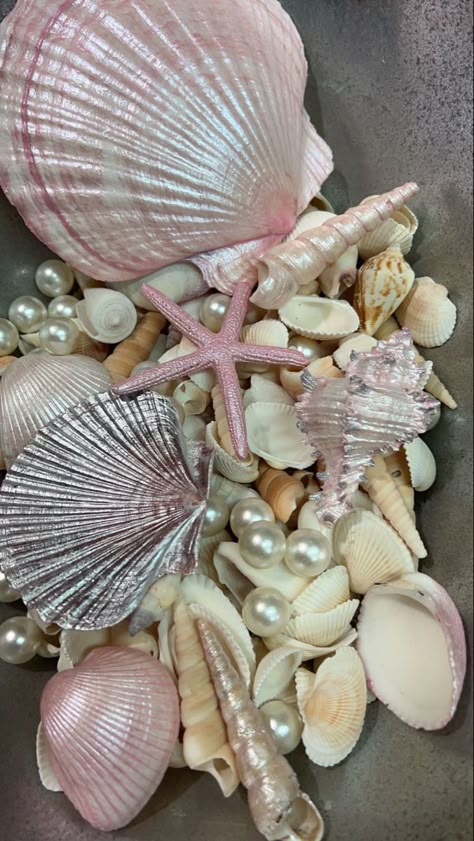 Soft Mermaid Aesthetic, Mermaid Core Birthday Party, Mermaid Core Birthday, Pink Sea Shells, Elspeth Mclean, Keeping 13, Tiny Worlds, Seashell Beach, Mermaid Aesthetic