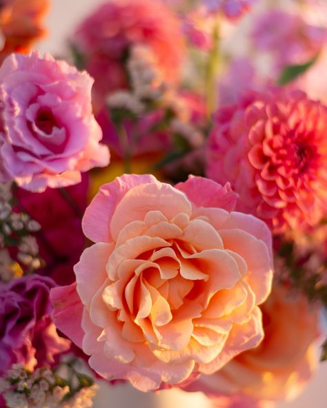 Bright bridal bouquet, modern, Spring  wedding inspiration, pastel color, clematis, garden roses, ikebana, centerpiece, clover, lisianthus, orange, mauve, green, dusty pink, orange, pink, lavender, purple, yellow, pink, peach, snapdragon, ranunculus, jasmine, dahlia, flowers, flowers, tablescape, ground arrangement, ceremony, reception, pedestals, California, wedding, bride, bridal bouquet, organic, luxury, modern, elevated, modern bride, flower design, florist, arch, ceremony, bouquet, loose Ikebana Centerpiece, Bridal Bouquet Modern, Bright Bridal Bouquet, Clematis Garden, Modern Spring Wedding, Bright Wedding Flowers, Organic Luxury, Bride Flower, Dahlia Flowers