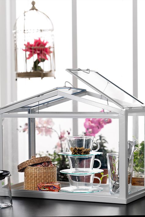 Show off your green thumb with the SOCKER greenhouse. Socker Greenhouse, Greenhouse Accessories, Ikea Socker, Greenhouse Indoor, Indoor Greenhouse, Greenhouse Ideas, Greenhouse Plans, Greenhouse Wedding, Mini Greenhouse