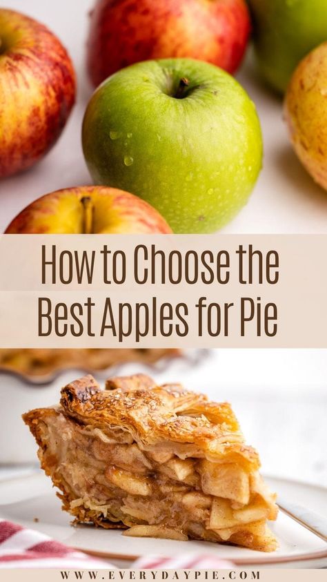 Without a doubt, the type of apples used for apple pie will directly reflect the baked result. This guide will help you choose the best apples for apple pie! Apple Pie With Red Apples, How Many Apples For An Apple Pie, Apple Pie Gala Apples, Best Apples To Use For Apple Pie, Best Easy Apple Pie, Americas Test Kitchen Apple Pie, Apples For Pies Best, Best Apple For Apple Pie, Apple Pie With Gala Apples Recipe