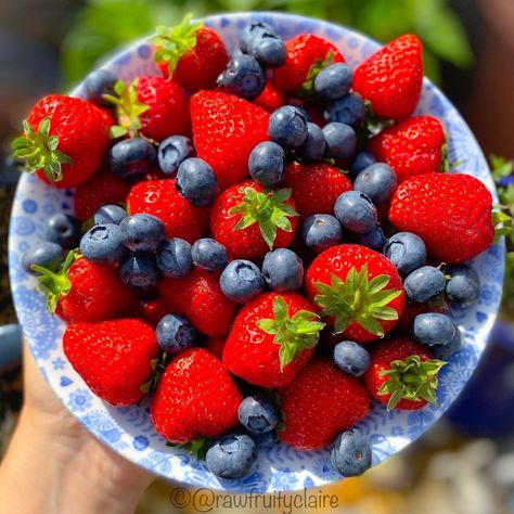 Blueberry And Strawberry, Blueberries And Strawberries, Strawberries And Blueberries, Winter Arc, Blue Berries, Blueberry Fruit, Object Art, Best Lunch Bags, 2 Cats