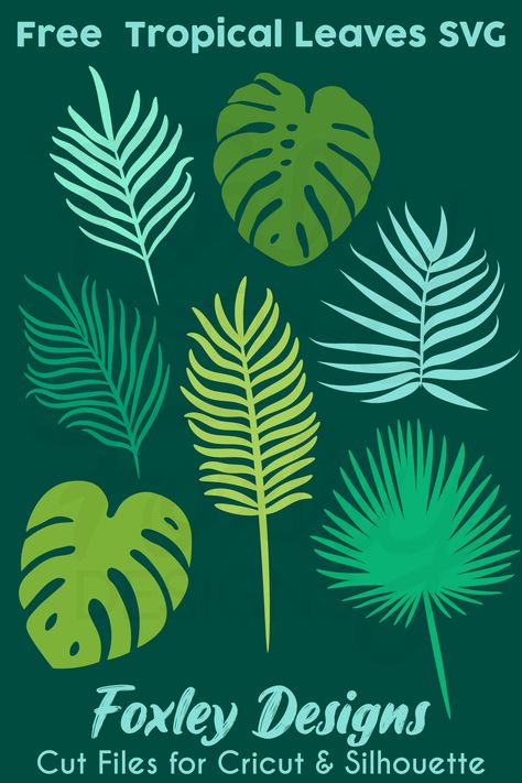 Free Tropical Leaves SVG Bundle: Monstera, Palm, and Jungle Leaf SVGs for Download - Enhance your designs with lush tropical foliage. Explore our collection of high-quality tropical leaves SVGs available for free download Palm Leaves Svg Free, Cricut Monstera Leaf, Tropical Leaf Pattern Printable, Tropical Leaves Svg Free, Cricut Palm Leaves, Palm Leaf Svg, Tropical Svg Free, Vbs Jungle, Tropical Svg