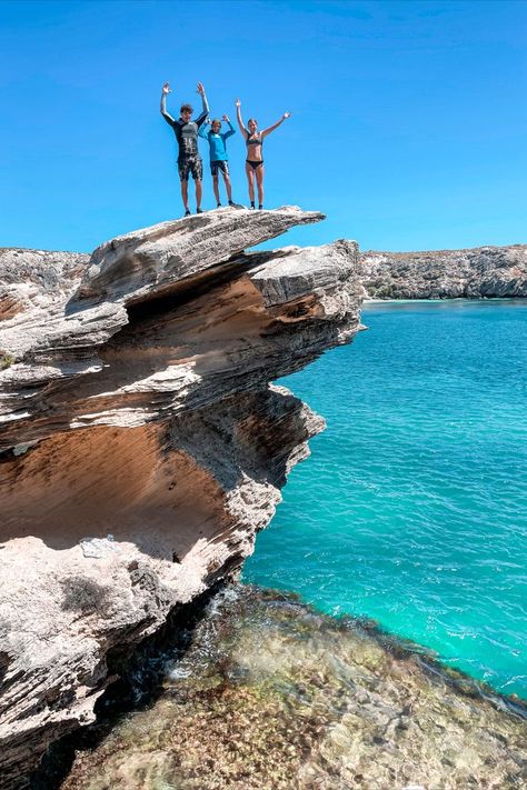 New blog post with travel tips for Rottnest Island from a local Rottnest Island Australia, Western Australia Travel, Disney Punk, Rottnest Island, Cliff Jumping, Ayers Rock, Island Pictures, Waterfall Adventure, Au Pair