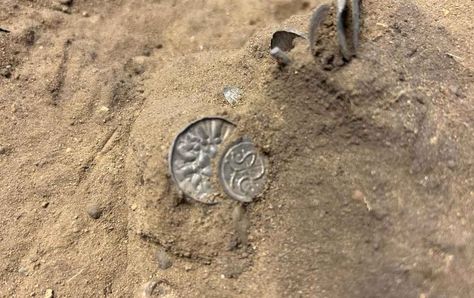 1,000-Year-Old Viking Coins Found by Young Girl With Metal Detector in a Cornfield Viking Fortress, Giant Mushroom, Root Structure, Metal Detecting, Metal Detector, Cbs News, Silver Coins, The Girl Who, Archaeology