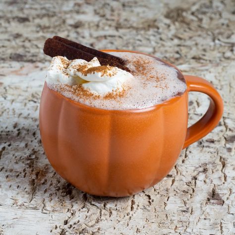 Pumpkin Spiced Hot Cocoa | deZaan Cinnamon Cookies, Vanilla Paste, Caramelized Sugar, Autumn Recipes, Hot Cocoa Mixes, Pumpkin Pecan, Ginger And Honey, Cocoa Mix, Cinnamon Powder