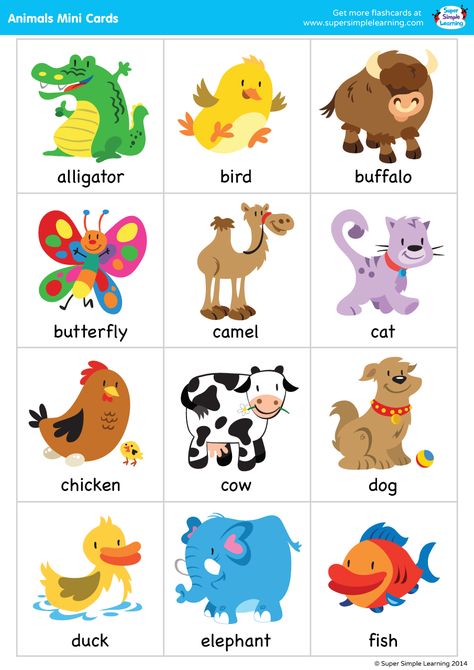 Super Simple Songs – Animals – Mini Cards | Super Simple Animal Pictures For Kids, Simple Songs, Super Simple Songs, English Activities For Kids, Animal Flashcards, Excel Tips, Learning English For Kids, Flashcards For Kids, Kids English