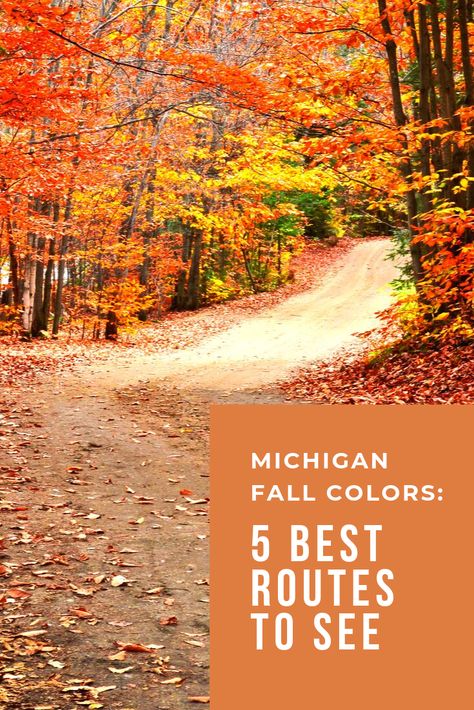 Detroit In The Fall, Michigan Fall Road Trip, Fall Weekend Trip, Michigan Day Trips, Fall Michigan, Fall Foliage Trips, Fall Family Activities, Michigan Travel Destinations, Fall In Michigan