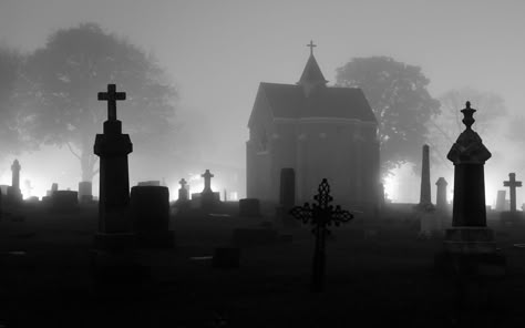 Happy Halloween 13 | by DevilDucMike The Witching Hour, Witching Hour, Halloween Night, Graveyard, Great Photos, Cemetery, Halloween