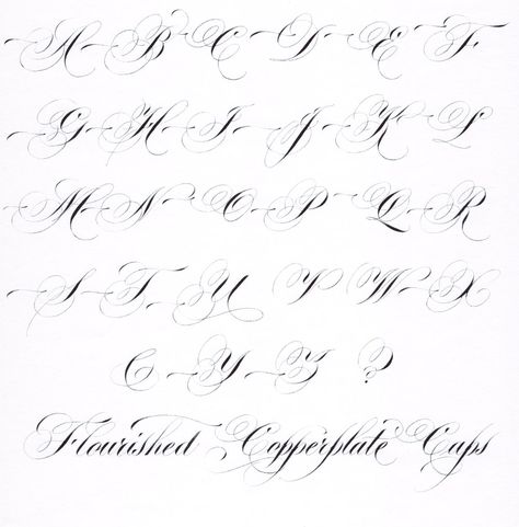 Hybrid Copperplate Script - Flourished Capitals Flourished Letters, Flourishing Calligraphy, Calligraphy Flourishes, Fancy Cursive, Calligraphy Letters Alphabet, Flourish Calligraphy, Calligraphy Worksheet, Digital Calligraphy, Cursive Calligraphy