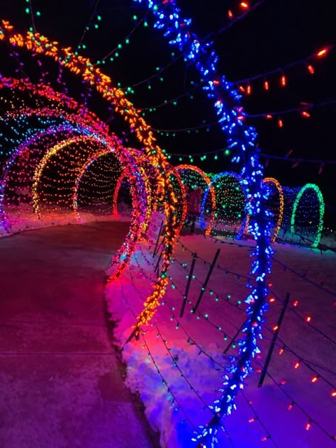 Christmas Aesthetic Colorful, Colourful Christmas Aesthetic, Rainbow Christmas Aesthetic, Neon Christmas Aesthetic, Christmas Tree Ideas Natural, Christmas Decor Yard Decorations, Outside Christmas Decor Yard Decorations, Hunter Green Christmas Decor, Colorful Christmas Aesthetic