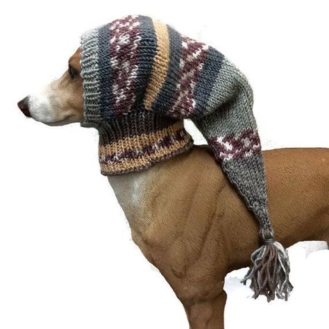 Dog Snood, Dog Clothes Patterns, Dog Fashion, Dog Hat, Dog Clothing, Italian Greyhound, Crochet Dog, Dog Sweaters, Dog Sweater