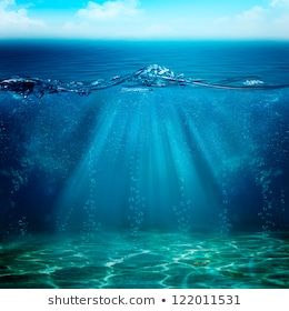 Ocean Scene Images, Stock Photos & Vectors | Shutterstock Abstract Underwater, Iphone Wallpaper Quotes Inspirational, Underwater Background, Marine Landscape, Water Sea, Scene Image, Ocean Scenes, Sunny Beach, Under Water