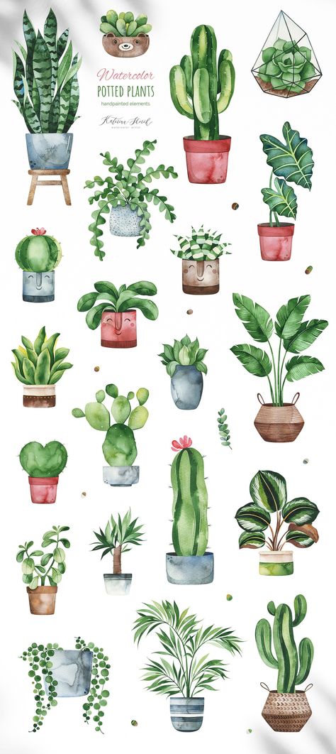 House Plants Watercolor, Plant Pots Illustration, Different Plants Drawing, Aesthetic Plant Drawing Ideas, Plant Drawing Watercolor, Simple Potted Plant Drawing, Pot Plant Doodle, Plants Design Drawing, Plant Art Inspiration