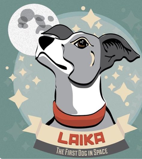 LAIKA IS THE FIRST DOG GOING TO SPACE Space Dog Drawing, Laika Space Dog, Soviet Space Dogs, Dog In Space, Belka And Strelka, Laika Dog, Shopkins Colouring Pages, Dog Drawing Simple, Vintage Astronomy