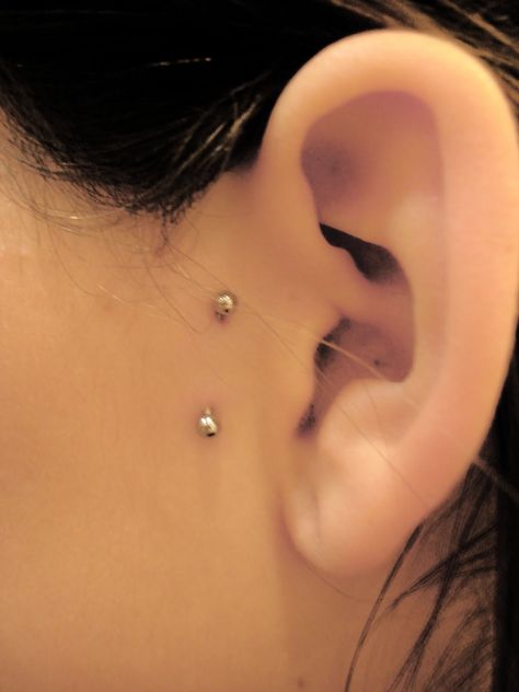 Surface Tragus, 3 Ear Piercings, Esoteric Jewelry, Anti Tragus Piercing, Surface Piercing, Face Piercings, Piercings Unique, Tragus Piercing, Fake Piercing