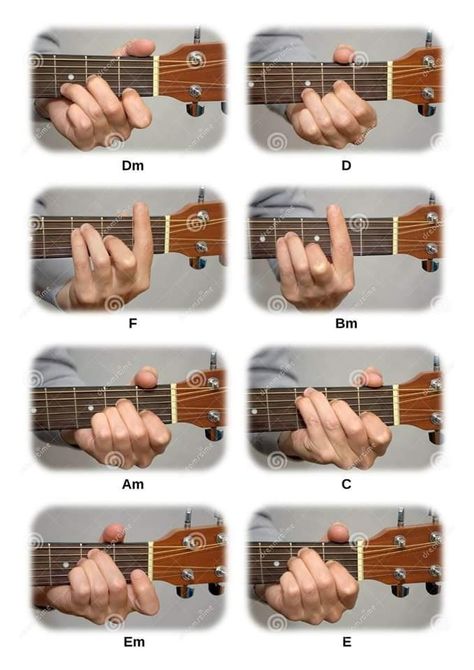 Learn Electric Guitar, Gold Braces, Guitar Tabs Acoustic, Guitar Keys, Appalachian People, Guitar Strumming, Guitar Cord, Learn Guitar Chords, Materi Bahasa Jepang