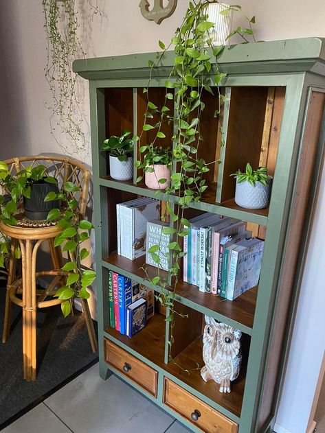 Green And Wood Bookshelf, Sage Green Bookshelf, Bookcase Painting Ideas, Bookshelf Makeover Diy, Green Bookcase, Upcycle Bookcase, Reno Furniture, Red Bookshelf, Green Bookshelves