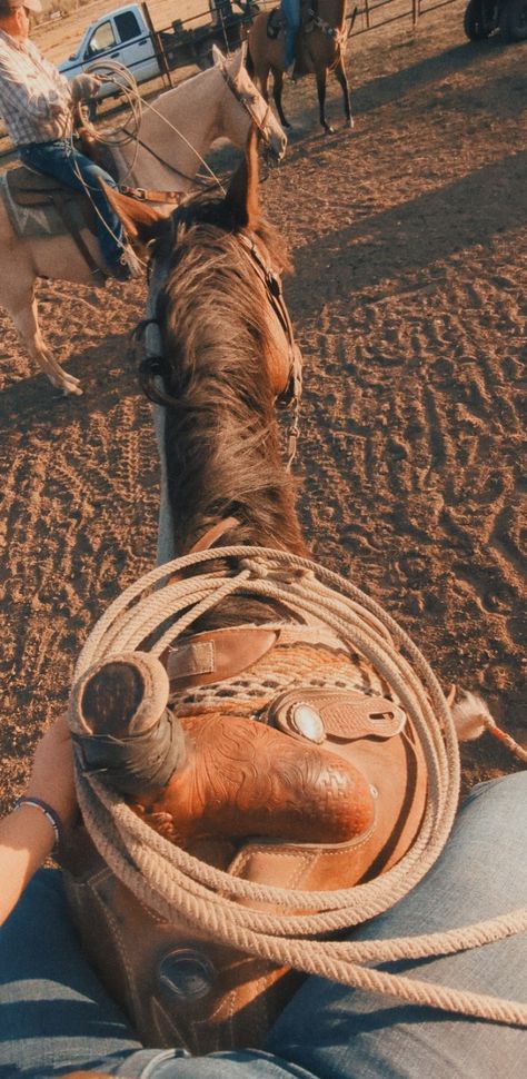 Roping Pictures, Diy Western, Horses Western, Western Riding Aesthetic, Western Horses, Western Pictures, Aesthetic Barrel Racing, Horse Western Aesthetic, Horseback Riding Western