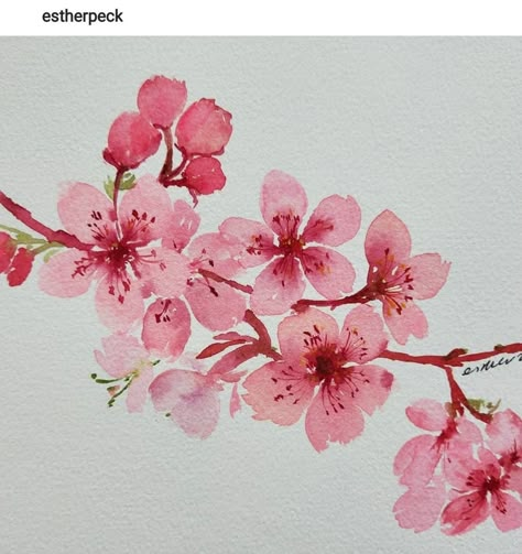 Painting Orchids, Sakura Painting, Cherry Blossom Watercolor, Cherry Blossom Painting, Watercolor Flower Art, 수채화 그림, Watercolor Art Lessons, Nature Art Painting, Art Prompts