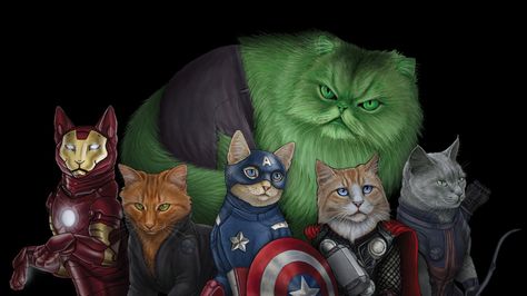 Avengers as Cats - Imgur Jenny Park, 11x17 Poster, Meme Comics, Comic Book Superheroes, Super Cat, Ms Marvel, Warrior Cats, The Avengers, Crazy Cat Lady