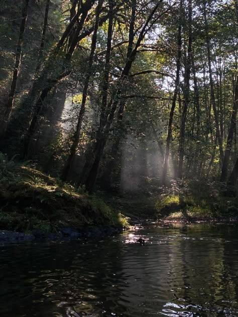 Mysterious Place Aesthetic, Forest Stream Aesthetic, Dark Oregon Aesthetic, Janecore Aesthetic, Bridget Core, Danielle Core, Forest With River, River In The Forest, Oregon Aesthetic