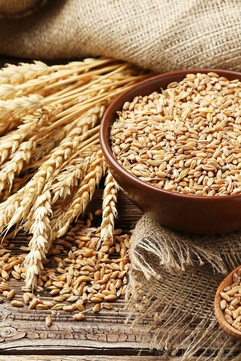 Whole Grains Aesthetic, Grains Aesthetic, Nazareth Village, Grain Aesthetic, Pasta Food Recipes, Wheat Farm, Recipes Chili, Low Glycemic Index Foods, Cake Pizza