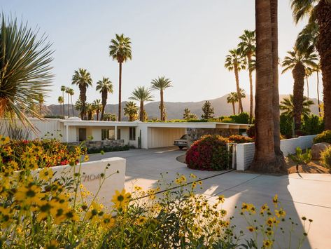 A Palm Springs Exclusive Enclave - Mid Century Home Palm Springs Landscaping, Vineyard Home, Palm Springs Homes, Modernism Week Palm Springs, Palm Springs Mid Century Modern, Vineyard House, Palm Springs House, Palm Springs Home, Mid Century Exterior