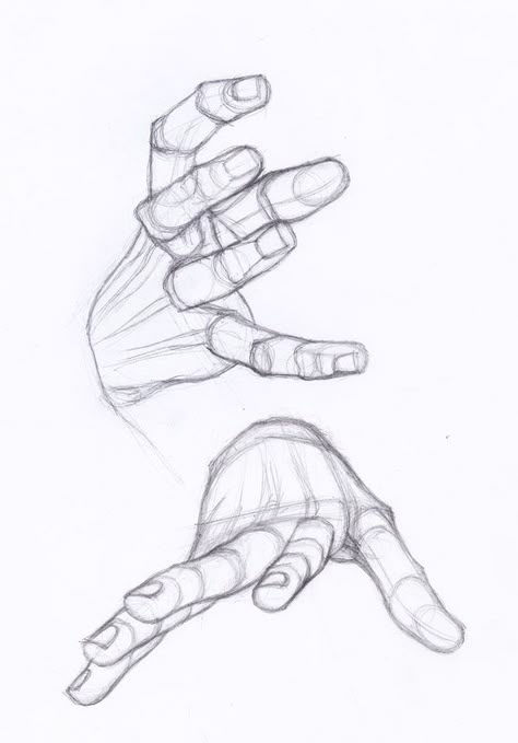 study by StefanoLanza Hand Illustration Drawing, Hand Pointing At You, Person Pointing Reference, Hand Reaching Forward, Hand Pointing At You Reference, Stefano Lanza, Hand Studies, Hands Reference, Hand Study