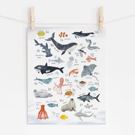 Learn the ABCs with sea animals! This alphabet poster features watercolor illustrated sea animals from A to Z. Designed with both upper and lower case letters, the names of the sea animals are spelled out to help with word and letter recognition.Colorful, neutral tones make this print a perfect addition to any nursery, playroom or classroom wall and is a fun way to inspire learning and introduce letters to young children. It’s also an easy and budget-friendly way to decorate and personalize your Ocean Animal Nursery, Animal Alphabet Nursery, Montessori Wall Art, Ocean Themed Rooms, Ocean Themed Bedroom, Animals Alphabet, Alphabet Nursery, Alphabet Wall Art, Alphabet Wall